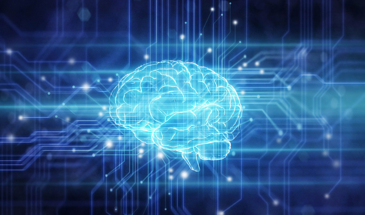 Life and AI Brain Science Institute